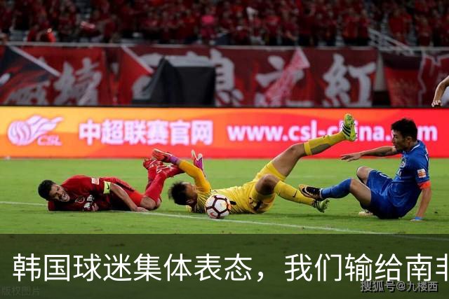 韩国球迷集体表态，我们输给南非，是因为中国国足坑了我们